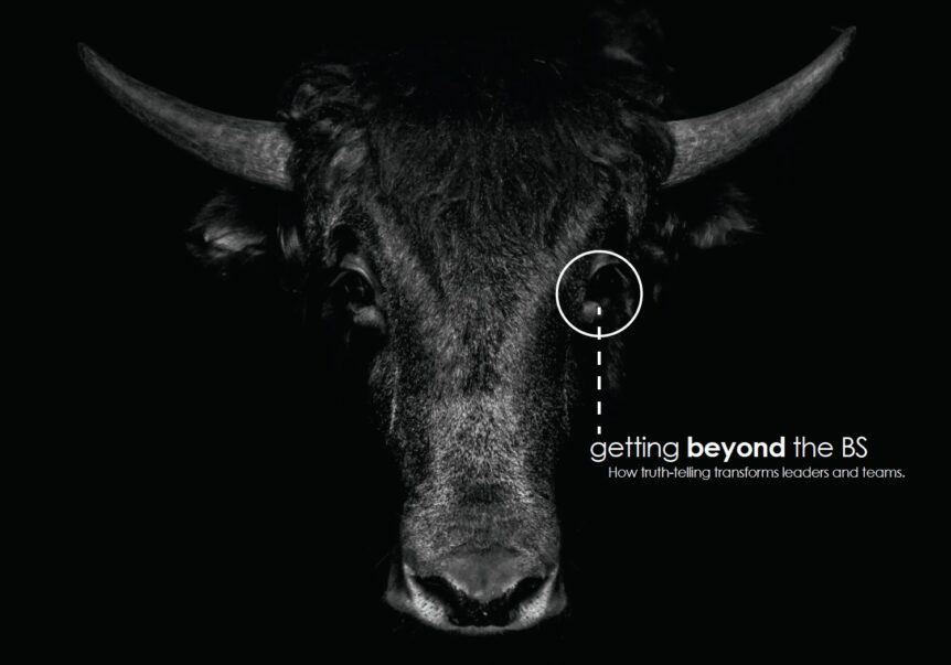 Bull with "getting beyond the BS" text.