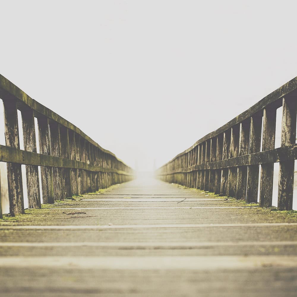 Featured image for “Courage, Intention and Trust: The Three Things Leadership Change Actually Requires”